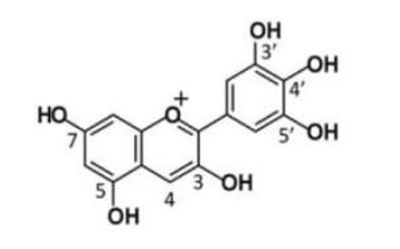 product-1-1 Delphinidin chloride