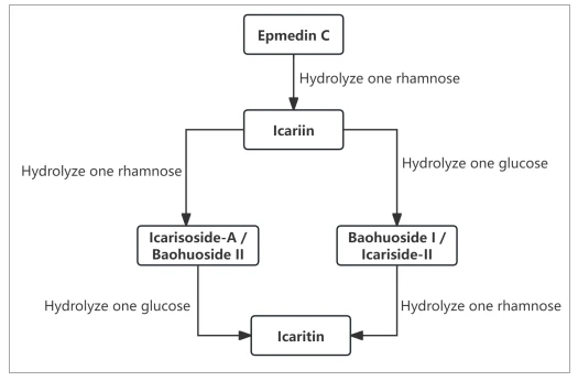 Realtionship of icariin related active ingredient Realtionship of icariin related active ingredient