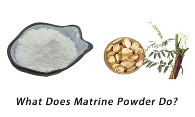 Що робить Matrine Powder?